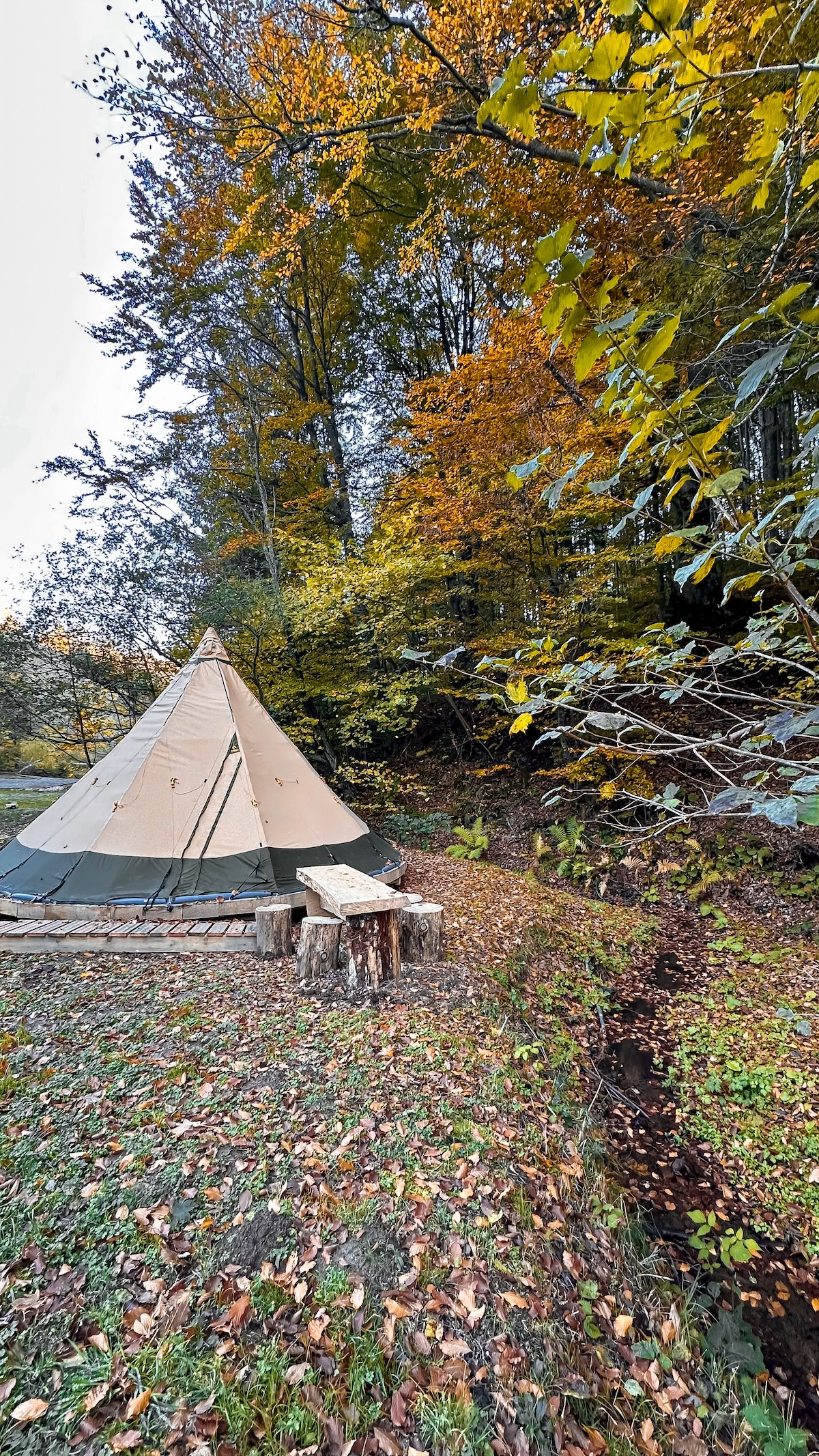 Tipi in the woods