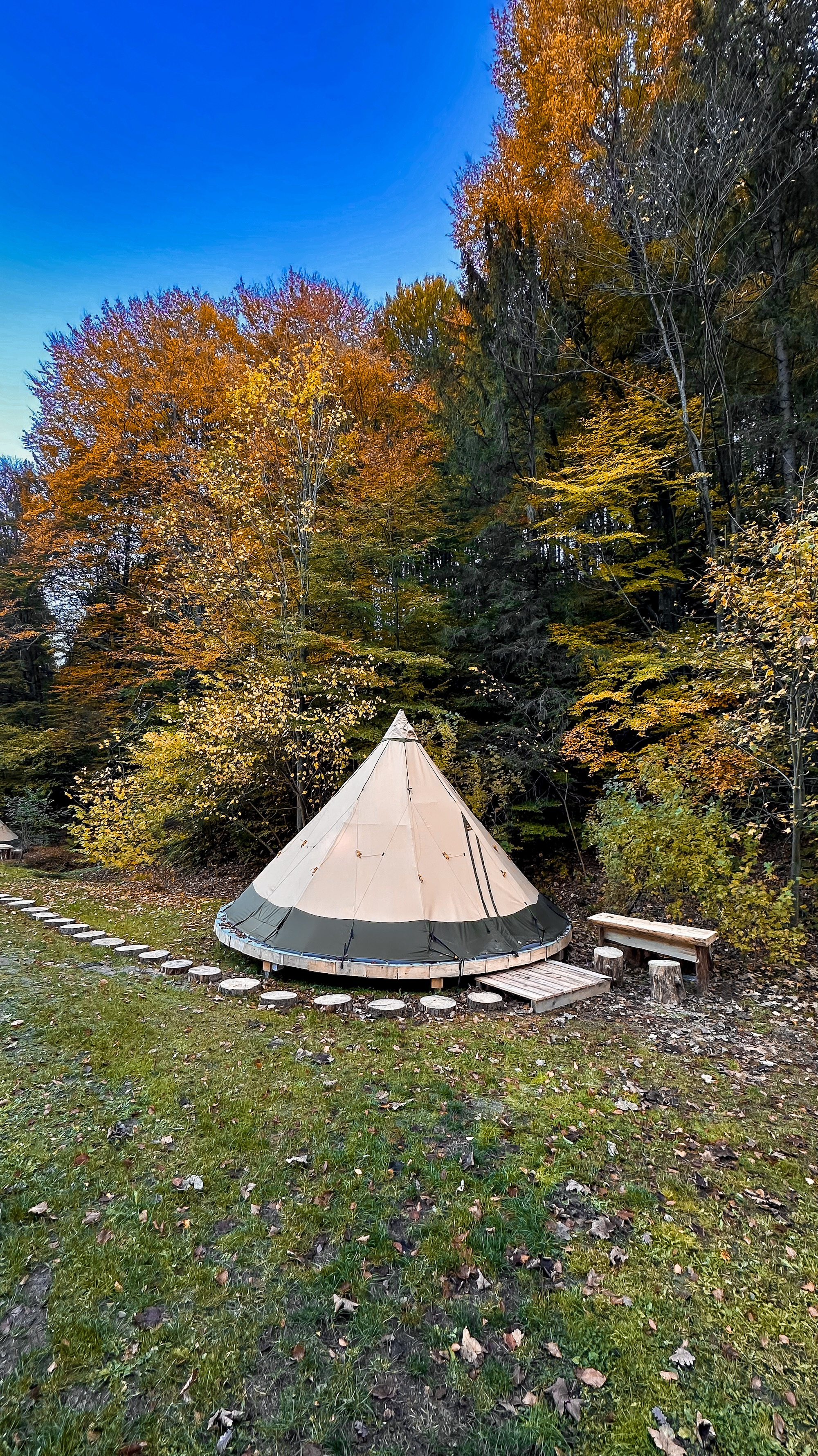 Tipi by the forest